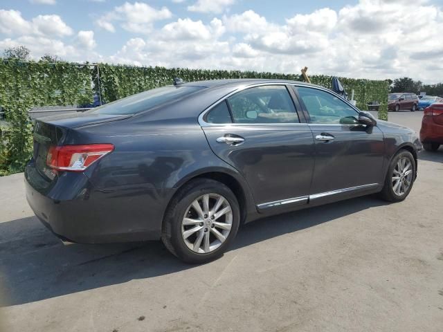 2010 Lexus ES 350