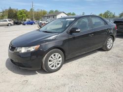 Salvage cars for sale at York Haven, PA auction: 2010 KIA Forte EX