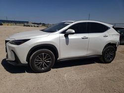 Salvage cars for sale from Copart Houston, TX: 2024 Lexus NX 350 Premium