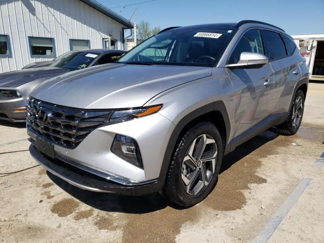 2023 Hyundai Tucson Limited