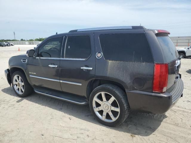 2010 Cadillac Escalade Luxury