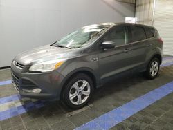 Salvage cars for sale at Orlando, FL auction: 2016 Ford Escape SE