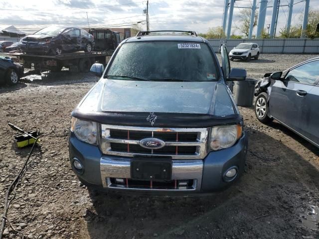 2011 Ford Escape Limited