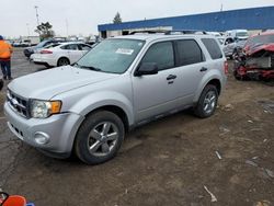 Ford Escape salvage cars for sale: 2009 Ford Escape XLT