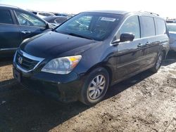 Salvage cars for sale at auction: 2009 Honda Odyssey EXL