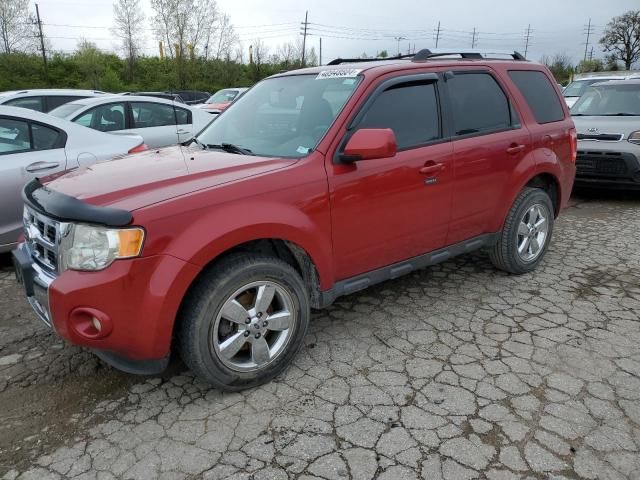 2011 Ford Escape Limited