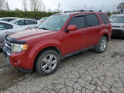 Vehiculos salvage en venta de Copart Bridgeton, MO: 2011 Ford Escape Limited