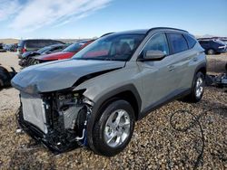 Vehiculos salvage en venta de Copart Magna, UT: 2024 Hyundai Tucson SEL
