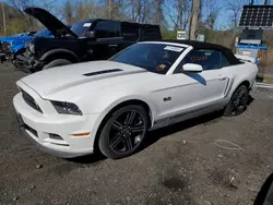 Salvage cars for sale at Marlboro, NY auction: 2013 Ford Mustang GT
