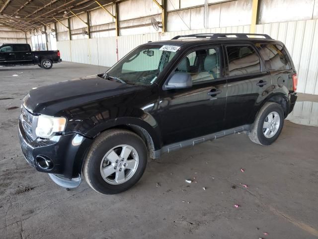 2011 Ford Escape XLT