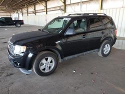 Vehiculos salvage en venta de Copart Phoenix, AZ: 2011 Ford Escape XLT
