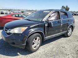 Salvage cars for sale at Antelope, CA auction: 2011 Honda CR-V EXL