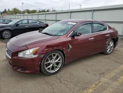 Salvage cars for sale at Pennsburg, PA auction: 2010 Nissan Maxima S