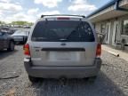 2001 Ford Escape XLT