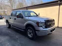 Ford salvage cars for sale: 2011 Ford F150 Supercrew