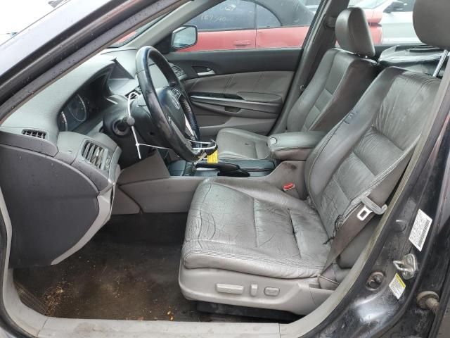 2008 Honda Accord EXL