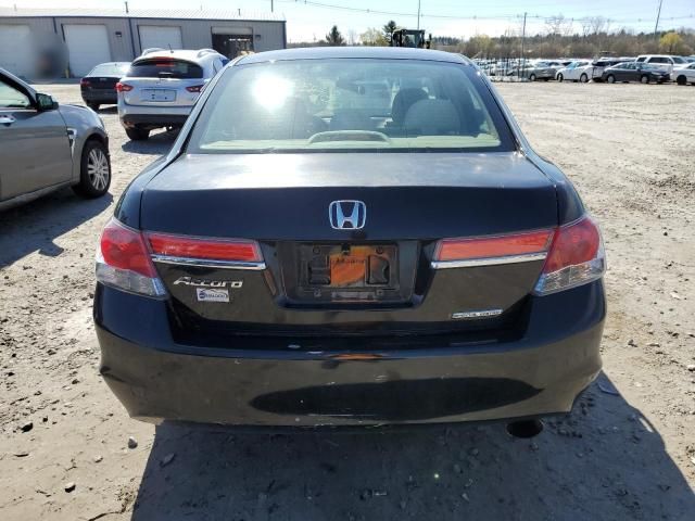 2010 Honda Accord LXP