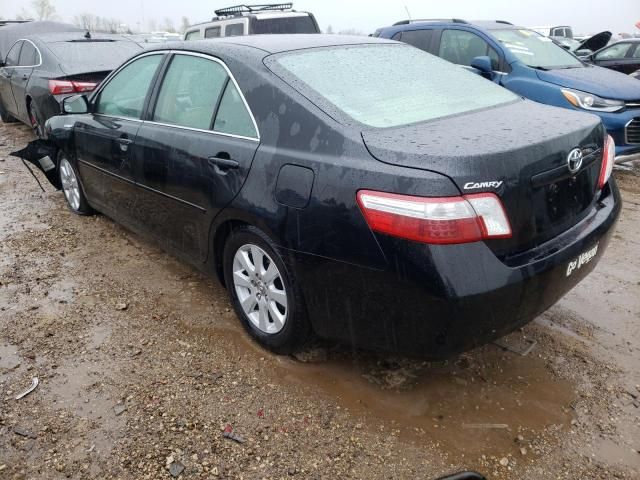 2009 Toyota Camry Hybrid