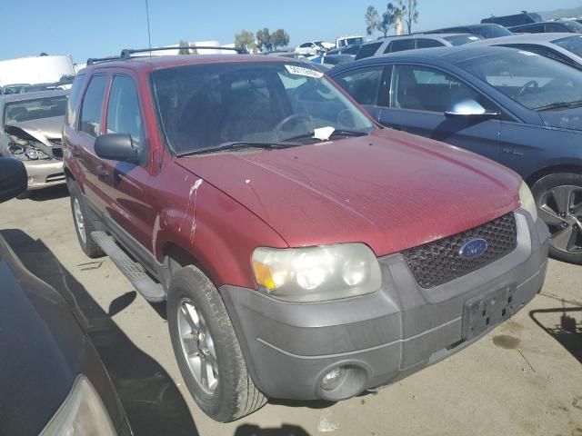 2006 Ford Escape XLT