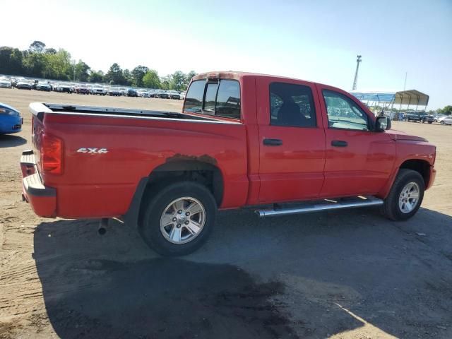 2008 Dodge Dakota SXT