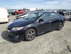 Salvage cars for sale at Antelope, CA auction: 2014 Toyota Camry L