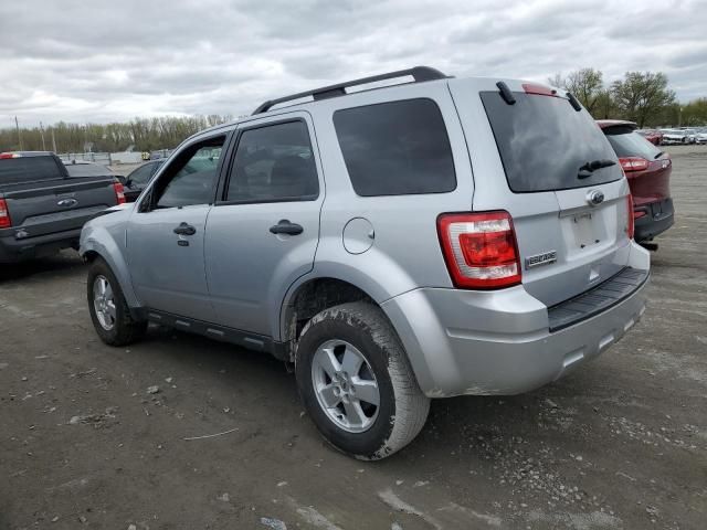 2011 Ford Escape XLT