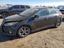 Salvage cars for sale at Brighton, CO auction: 2014 Ford Focus SE