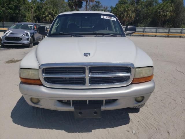 2003 Dodge Dakota Quad SLT