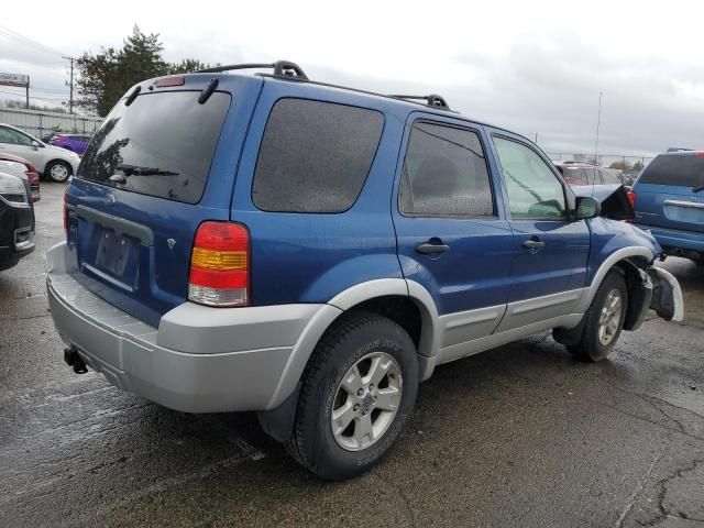 2007 Ford Escape XLT