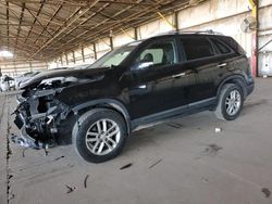 Salvage cars for sale at Phoenix, AZ auction: 2015 KIA Sorento LX