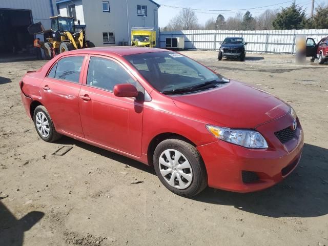 2010 Toyota Corolla Base