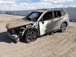 Salvage cars for sale at Greenwood, NE auction: 2020 Subaru Forester Limited