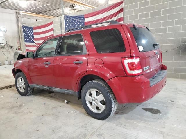 2011 Ford Escape XLT