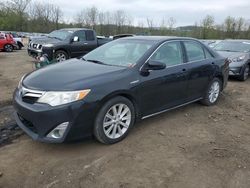 Salvage cars for sale at Marlboro, NY auction: 2014 Toyota Camry Hybrid