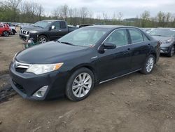 Toyota Camry Hybrid salvage cars for sale: 2014 Toyota Camry Hybrid