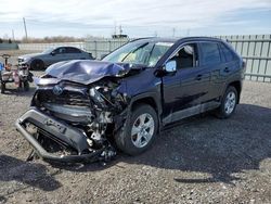 Salvage cars for sale from Copart Ontario Auction, ON: 2019 Toyota Rav4 XLE