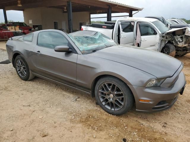 2013 Ford Mustang