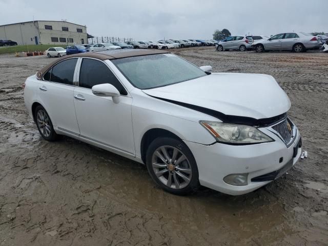 2010 Lexus ES 350