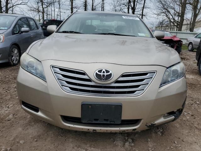 2007 Toyota Camry Hybrid