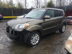 Salvage cars for sale at Waldorf, MD auction: 2013 KIA Soul +