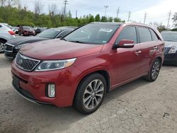 KIA Sorento sx salvage cars for sale: 2014 KIA Sorento SX