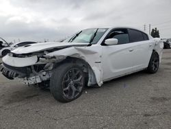 Dodge Charger r/t salvage cars for sale: 2019 Dodge Charger R/T