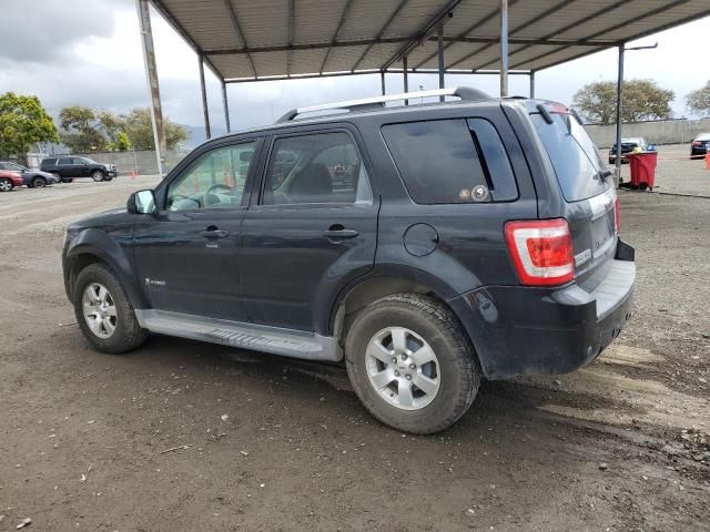 2009 Ford Escape Hybrid