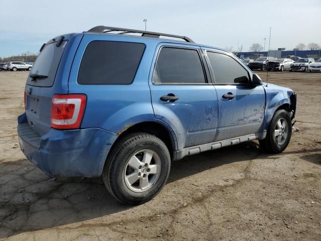 2010 Ford Escape XLT