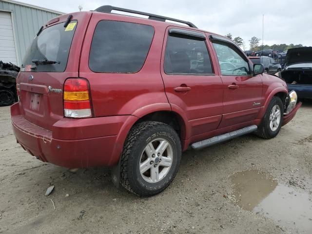 2007 Ford Escape HEV