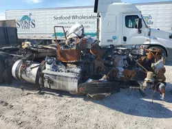 Salvage trucks for sale at Apopka, FL auction: 2021 Freightliner Cascadia 126