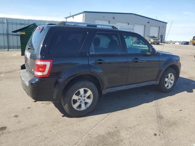 2010 Ford Escape Limited