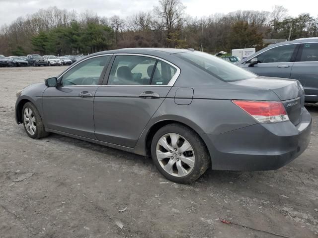 2010 Honda Accord EXL