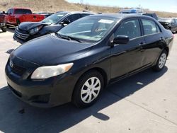 Salvage cars for sale at Littleton, CO auction: 2010 Toyota Corolla Base