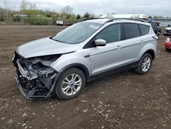 Salvage cars for sale from Copart Columbia Station, OH: 2018 Ford Escape SEL